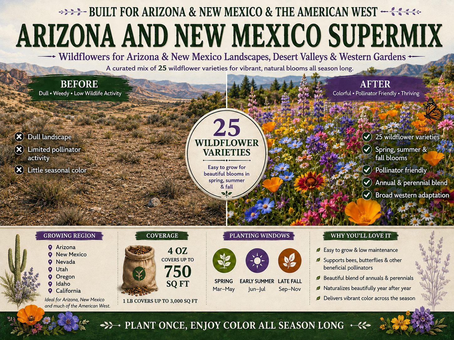 Southwestern landscape before planting and after a colorful Arizona and New Mexico Supermix display