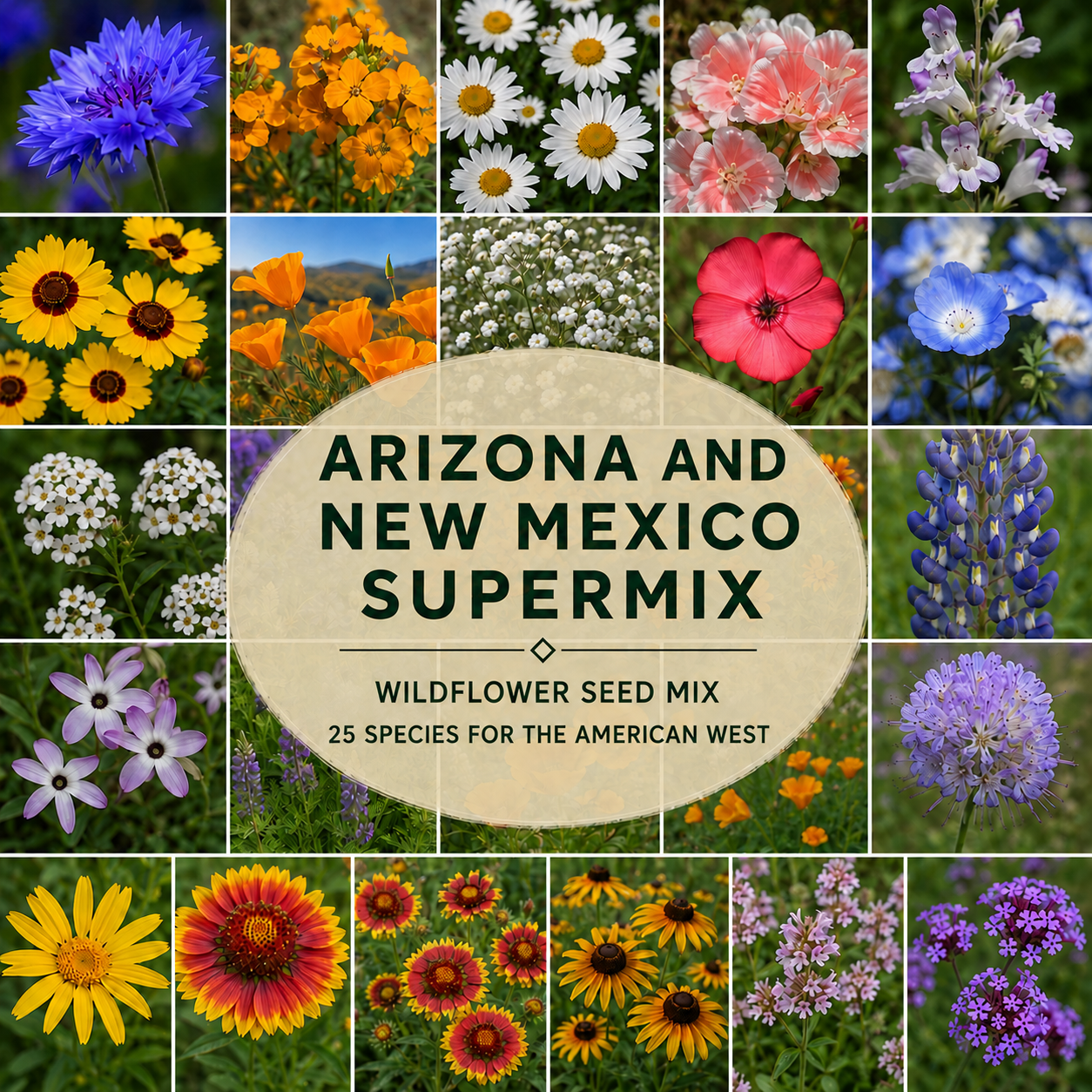 Arizona and New Mexico Supermix flower collage